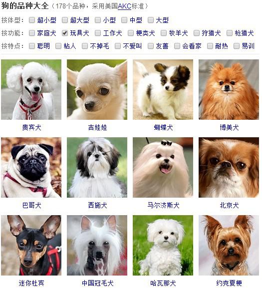 狗狗体质不好怎么调理？——宠物的健康秘诀大公开